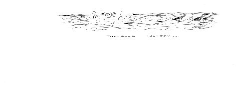 Hand-drawn illustration for &ldquo;Double Trouble&rdquo; by Dr. Mukesh Nangia