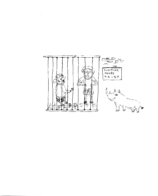 Hand-drawn illustration for &ldquo;Magic Pill&rdquo; by Dr. Mukesh Nangia