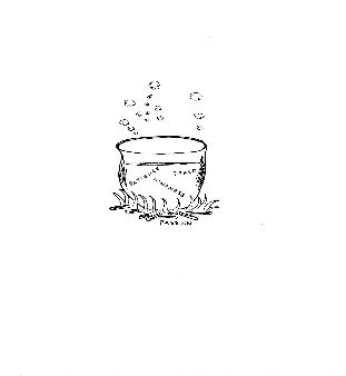 Hand-drawn illustration for &ldquo;The Perfect Recipe&rdquo; by Dr. Mukesh Nangia